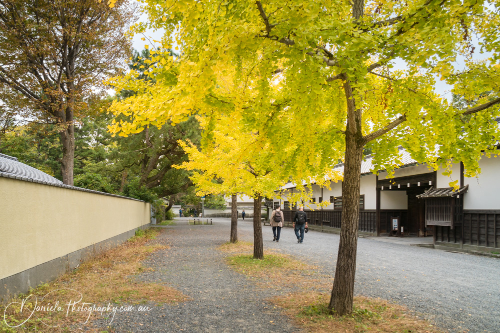 Imperial Palace Entrance in Autumn Kyoto